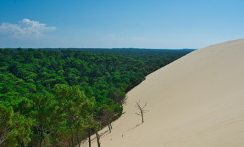 historique-dune-pilat.jpg