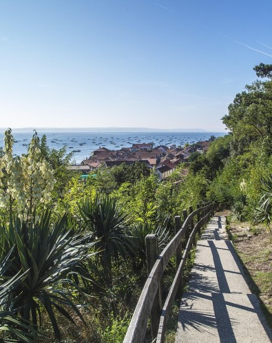 arcachon-derniere-minutes.jpg