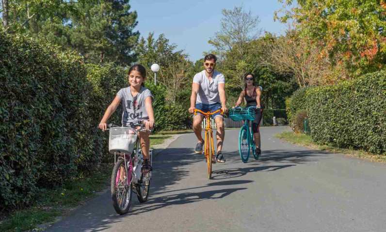 Camping familial Arcachon